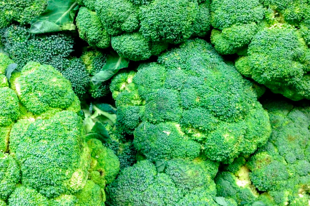 FOLATE METABOLISM, ATOPY & MTHFR