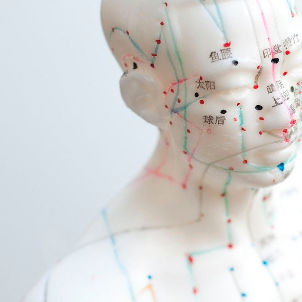 MUSCLE TESTING & MERIDIANS CLASS BUNDLE (MC2)