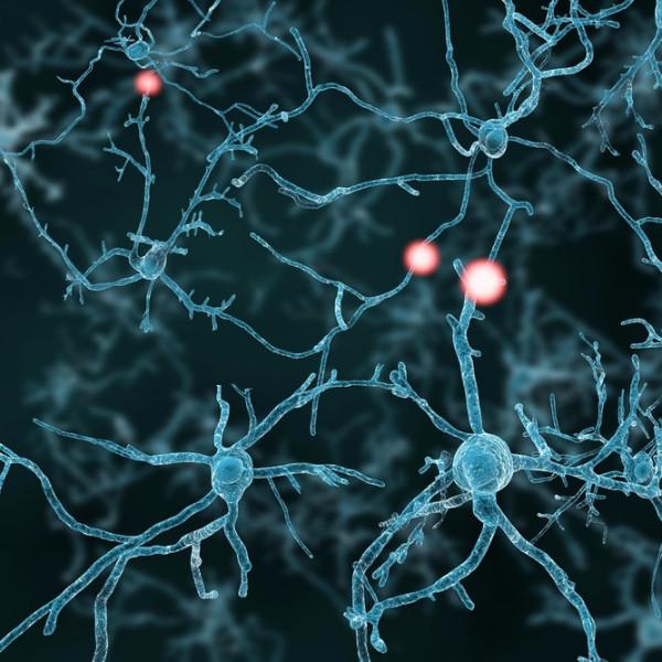 LWP Neuroendocrine Test Kit