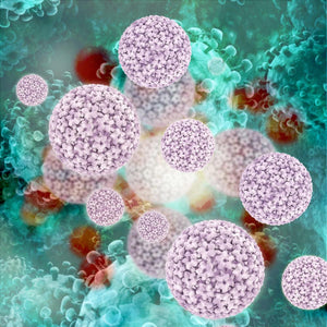Viruses - Papillomaviruses (VIW)