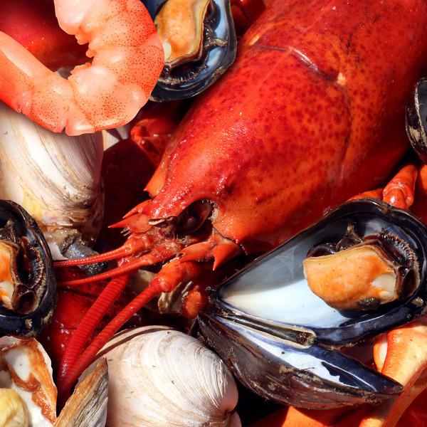 Canadian Shellfish Food - Shellfish (FSH) – Ergopathics Canada