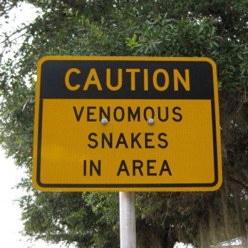 venous snake sign